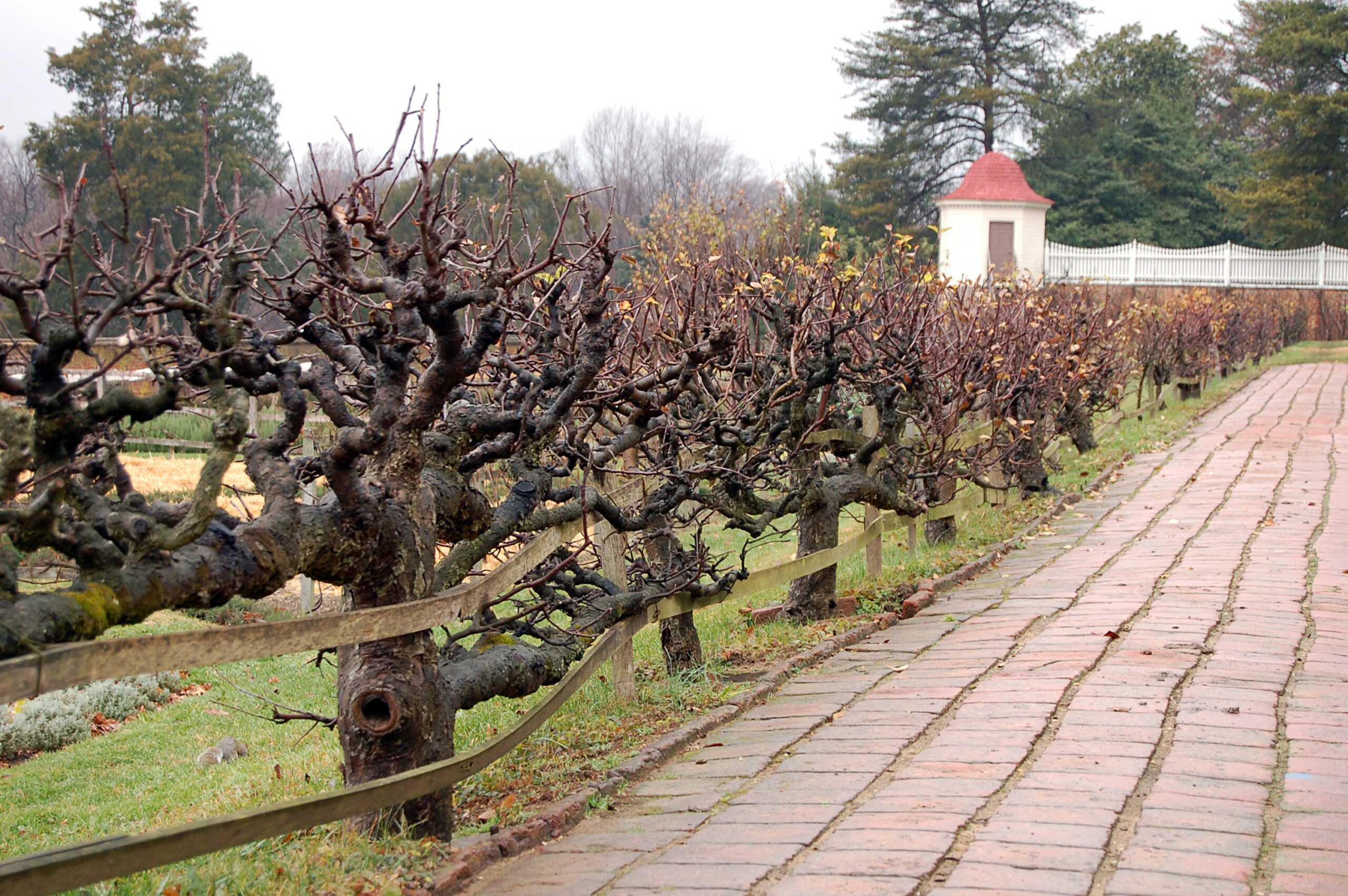 Mt. Vernon