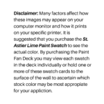 Saint-Astier® Lime Paint Stock Colors - Image 2