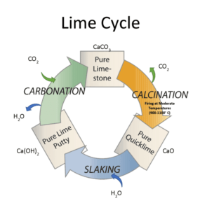 LimeCycle-760x800