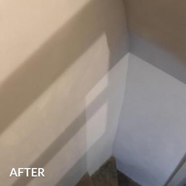 Ecologic™ PLASTER TAKCOAT™ Platinum - Image 5