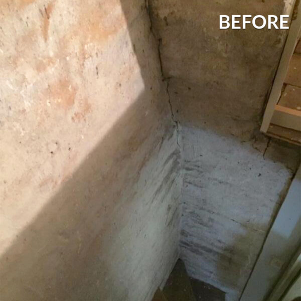 Ecologic™ PLASTER TAKCOAT™ Platinum - Image 4